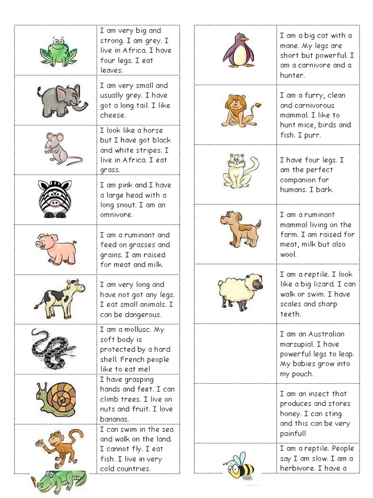 Animal Descriptions and Characteristics | PDF | Mammals | Marsupials