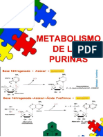 Metabolismo De Las Purinas