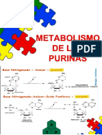 Metabolismo de Las Purinas