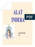Alat_Indera