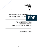 07.1 Malformatii Renale