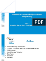 COMP6619 - Advanced Object Oriented Programming: Introduction To Java Programming Language