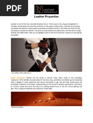 Leather-Properties-PDF