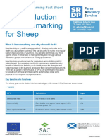 FAS-Benchmarking-for-Sheep-Leaflet (1)