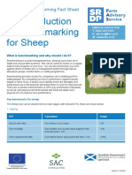 FAS Benchmarking For Sheep Leaflet