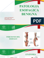 Patología esofágica benigna: reflujo, acalasia y más