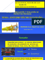 Factores que determinan el tamaño óptimo de un proyecto