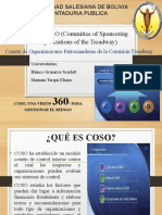 Coso Proyectos