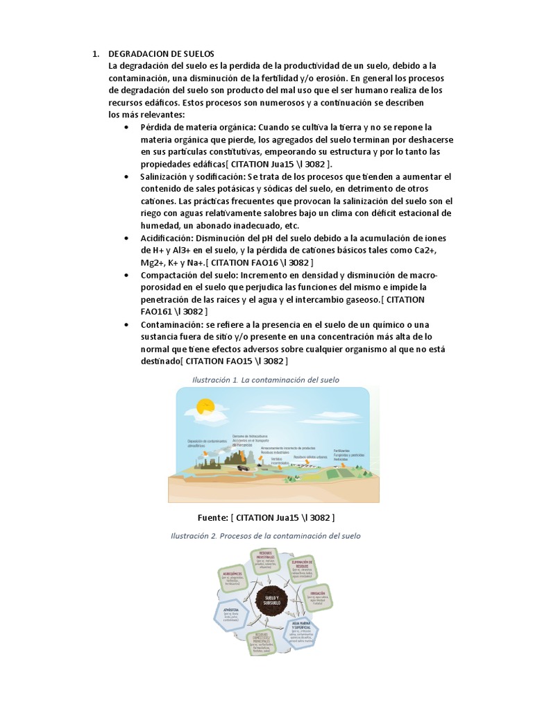 Causas y Consecuencias de la Degradación del Suelo | PDF | Suelo ...