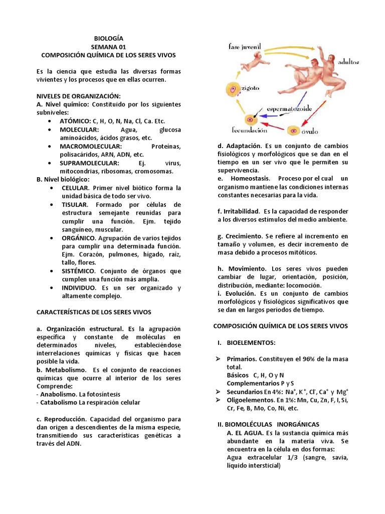 Composición Química de los Seres Vivos | PDF | Glucosa | Organismos