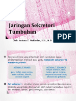 JaringanSekretoriTumbuhan