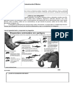 Clase Infografía Lenguaje y Comunicación 5. Desarrollar Preguntas.