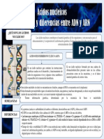 Ácidos Nucleicos