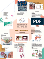 PROTOZOARIOS Info