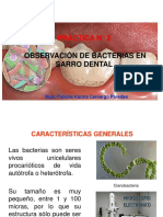 Practica Tinción GRAM en Bacterias de Sarro Dental.