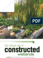The Critical Role of Constructed Wetlands