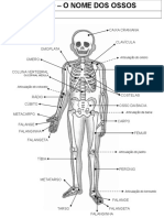 Esqueleto Com Legenda