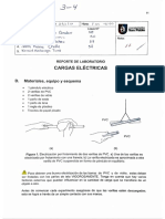 CARGAS ELECTRICAS