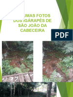 Algumas Fotos Dos Igárapés de São João Da