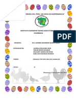 Informe Crianza T.A