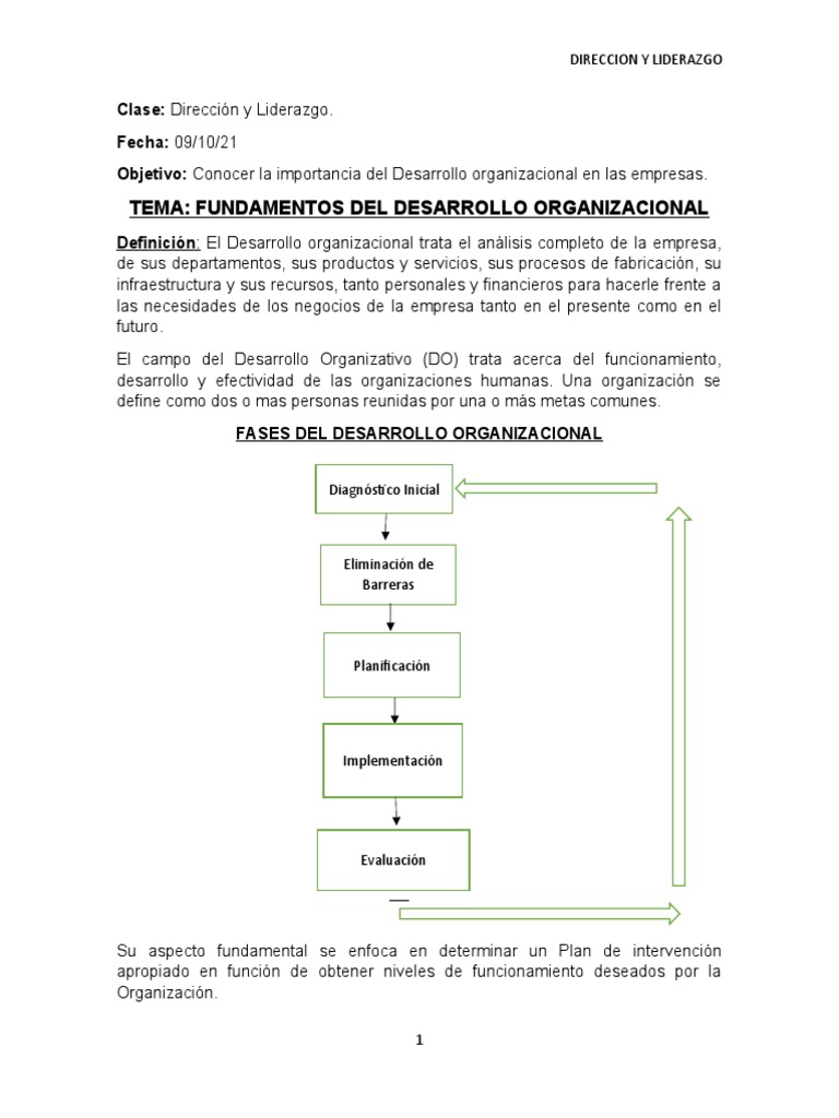 Fundamentos Del Desarrollo Organizacional | PDF | Liderazgo | Ciencias