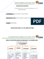 Tema: Mapa Conceptual de Nivel de Lenguaje Y Su Significado