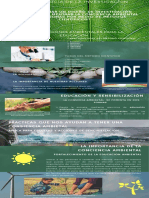 Infograma Conciencia Ambiental Terminada-Comprimido