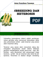 Inbreeding Dan Heterosis Edited