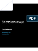 Heinrich Slit Lamp Biomicroscopy16 Notes