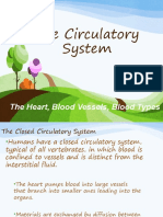 The Circulatory System: The Heart, Blood Vessels, Blood Types