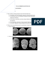 Tugas Mikropaleontologi - Fakhrinul Ramadhan - F1D219023 - A