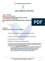 Proyecto Bimestral III 5 PRIMARIA (3)