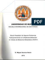 Tesis Doctoral Miguel Alcaraz Saura (1)