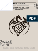 1-La Esencia Del Dragon