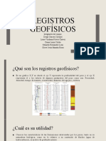 Registros Geofísico - Exposicion