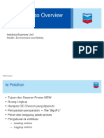 MSW Process Overview - Indo