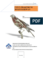 Penuntun Praktikum Struktur Hewan: Oleh: Anggun Wicaksono, S.PD., M.Si