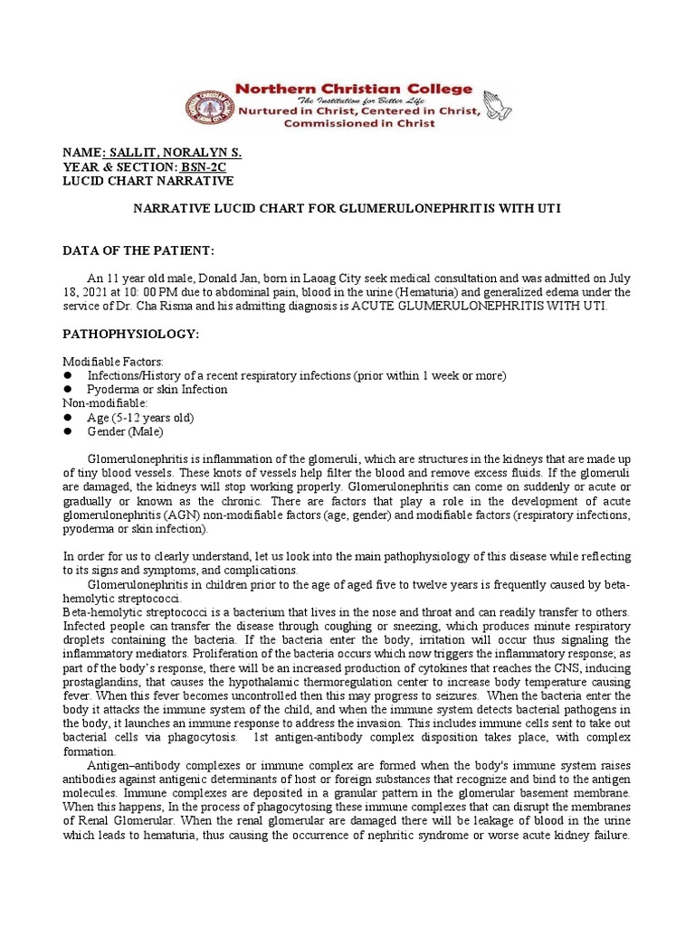 Narrative (Lucid Chart) Final | PDF | Edema | Immune System