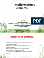 Présentation AMINE DIB Malformation Urinaire