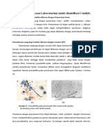 Beberapa Pemeriksaan Laboratorium Untuk Identifikasi Candida