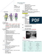 Croup, Epiglotitis, Laringitis