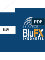 BluFX Presentation