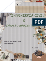 Ingenieria Civil e Impacto Ambiental 