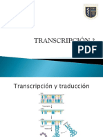 Transcripción 2