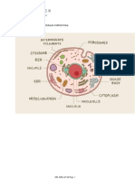 Biology - MEKANISME TRANSPOR MEMBRAN