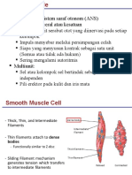 Smooth Muscle