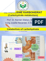2-Metabolisme Karbohidrat-1