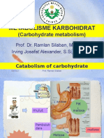 Metabolisme Karbohidrat