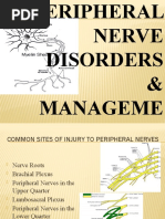 Download Peripheral Nerve Disorders  Management by   SN54497180 doc pdf