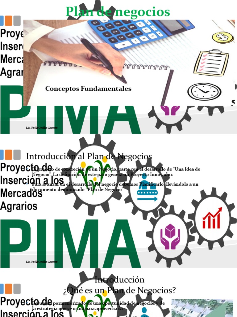 Guía Completa para un Plan de Negocios | PDF | Marketing | Mercado ...